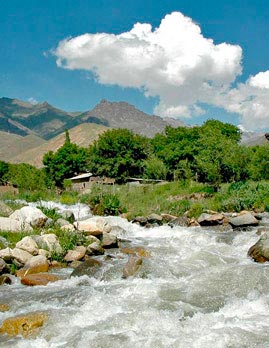 Nİyə su İçməlİyİk